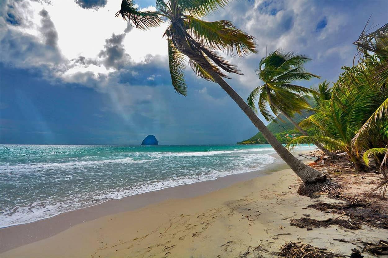 Malilia Beach A Sainte-Anne - Wifi -5 Min A Pied De La Plage ภายนอก รูปภาพ